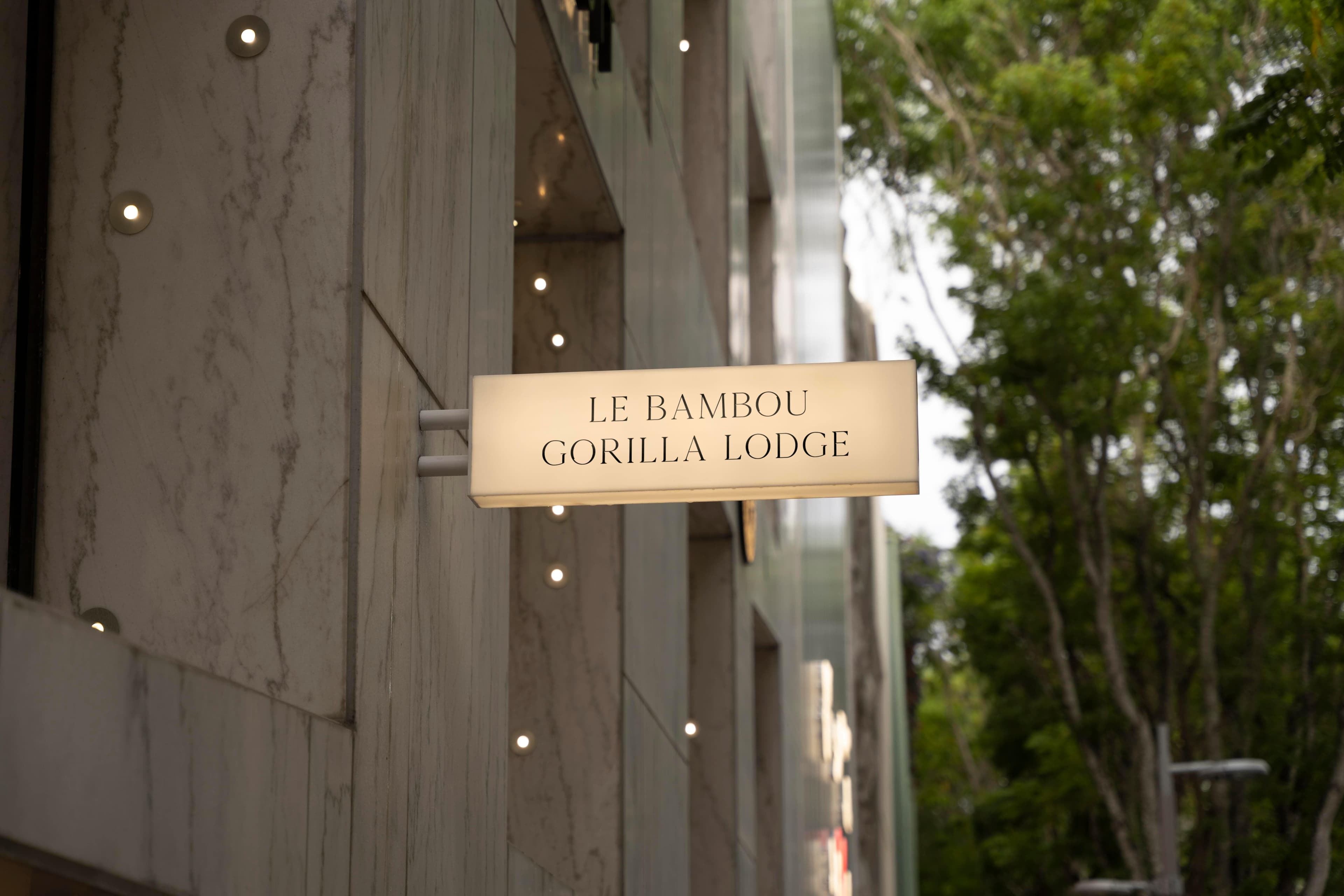 Hotel brand collateral mockup